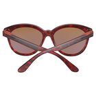 ENDEE, Matte Classic Tortoise-Saturn Polarized Drivers Cat 2 to 3, hi-res image number null